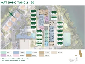 Mặt bằng tầng 2-20 tòa tháp T3 chung cư Trellia Cove